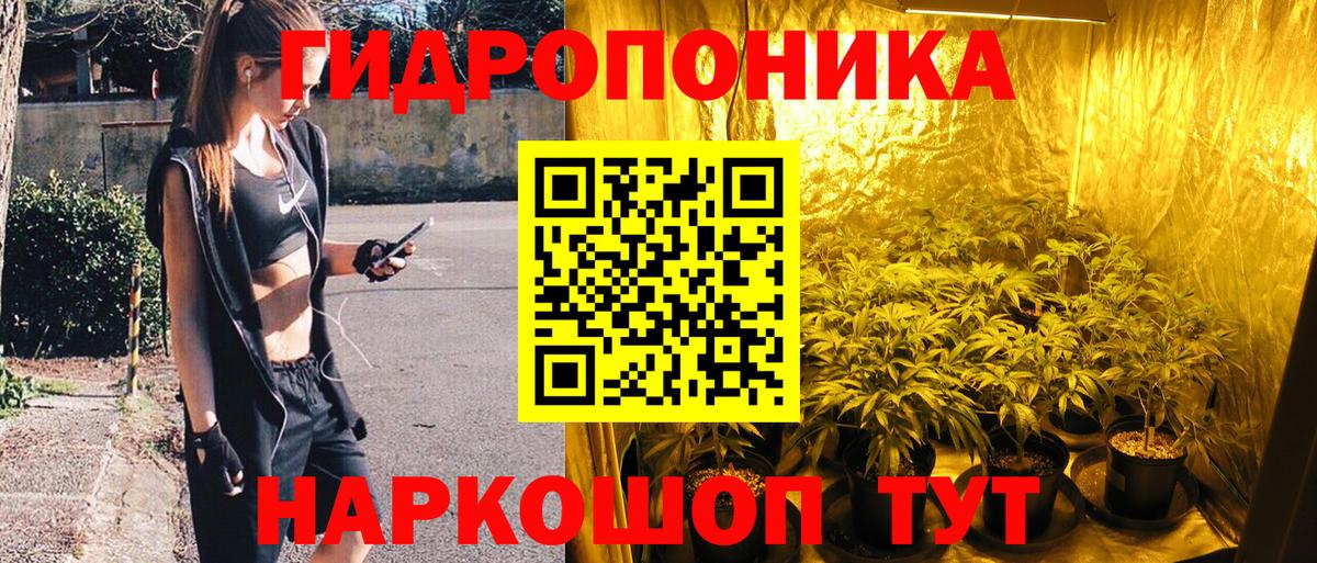 Бошки Шишки THC 21%  Вход с VPN  Шишки марихуана THC 21%  Бошки Шишки тримм  Партизанск 